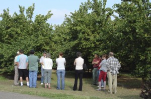 Discovering Willamette Valley Agriculture